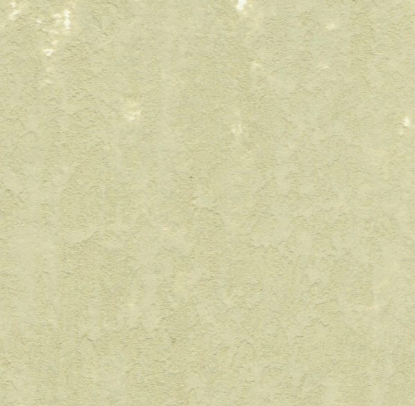 1043 Dusky Olive - Image 3
