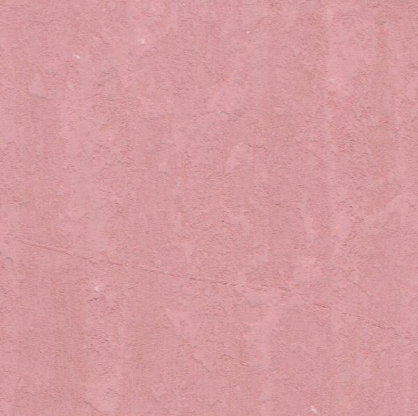 982 Purple Sienna - Image 2