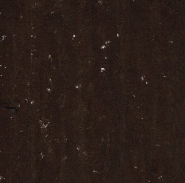 1060 Neutral Brown - Image 2