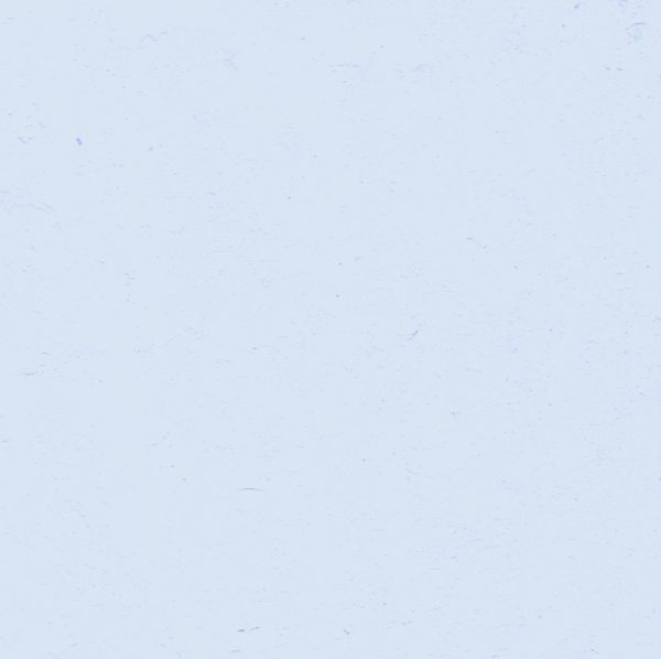1075 Ashen Blue - Image 2